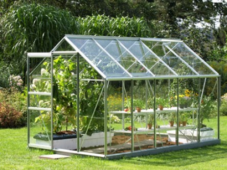 The Vitavia Venus (6' X 10') Greenhouse 6200